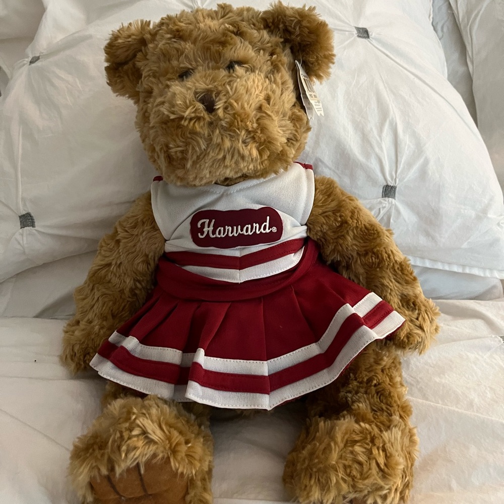 Harvard University Chelsea Bear